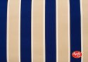 Bold Stripe Navy Home Dec