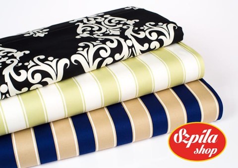 Bold Stripe Navy Home Dec