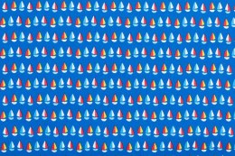 Mini Sailboats