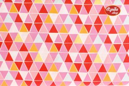 Triangle Mosaic