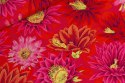 Cactus Flower Red Kaffe Collective